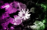 Grunge Floral Abstract Background