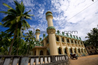 Muslim mosque in palms