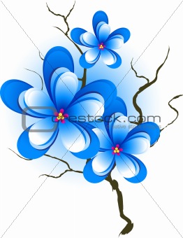 Branch with blue flowers