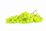  grapes on white