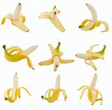 collection of fruits banana