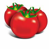 Red Tomatos