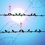 Love, birds kissing on branch
