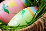 Easter eggs with green grass