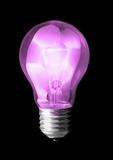 violet light bulb 