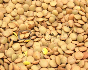  A lot of lentils in a close-up view