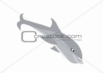 isolated illustration of jumping dolphin