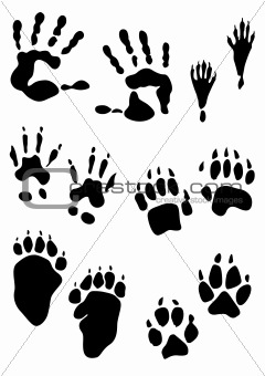 animal footprint stamps and human hands print