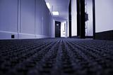 Office Hallway - Blue Tone