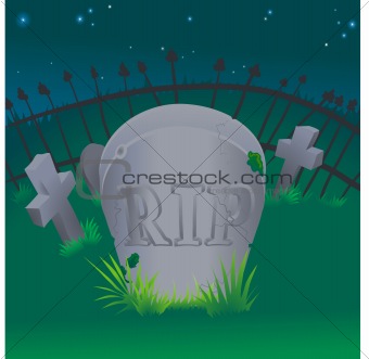 a tombstone in a graveyard