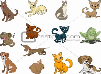 Some cats and dogs (plus a rabbit and a frog thrown in!)