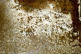 Eroded sea wall background 02