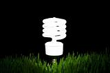 Light bulb sheds light on going green