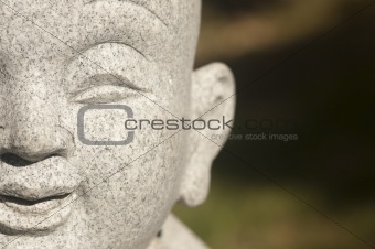 The Face of Buddha