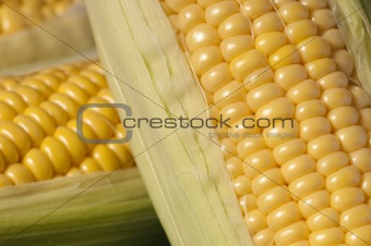 The Corn Cob Series