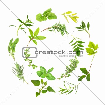 Herb Leaf Circles