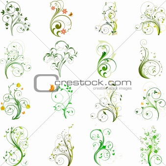 Set of floral elements vector