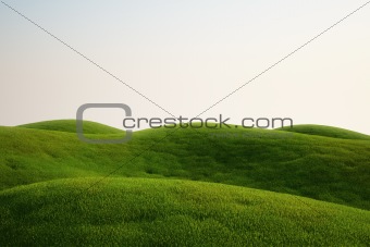 Grass field