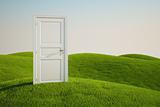 Grass field with a door