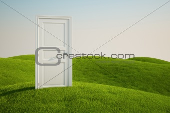 Grass field with a door