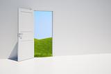 Door with grass field