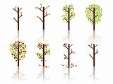 Tree natural process - Vector image