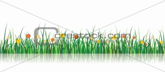 Vector grass illlustration