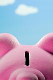 Piggy Bank 