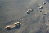 Sand Footprints
