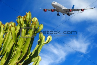 Plane and tropical destination