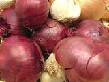 Red Onions and white garlics in a close-up view