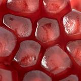 Red grains of pomegranate background