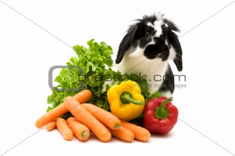 rabbit and vegetables