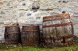 Old barrels for wine