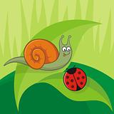 Snail with ladybug