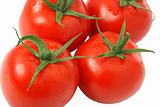 Tomato set