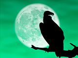 Eagle in the moon