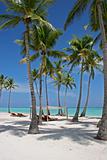 Palm Trees On Tropical Beach