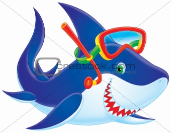 Shark diver