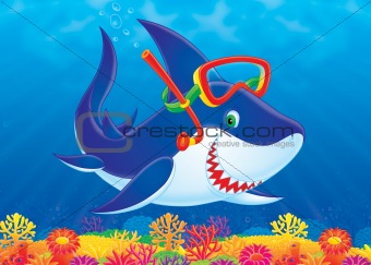 Shark diver
