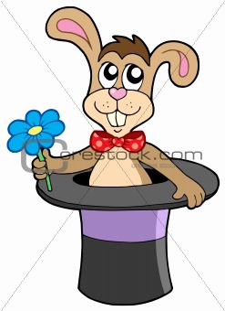 Rabbit with flower in hat