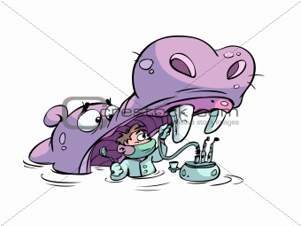 Dentist working on hippo