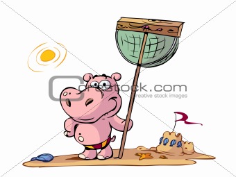 kid hippo on beach