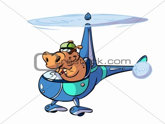 Helicopter hippo