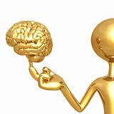 Balancing Golden Brain