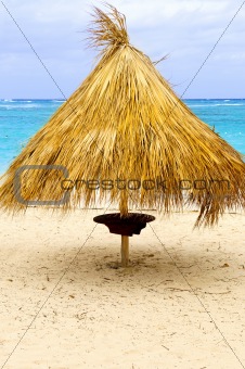 Tropical beach umbrella