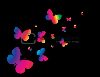 butterflys on a black background