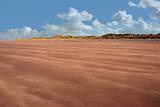 lonely beach dunes