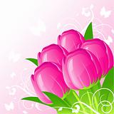 Background with pink tulips