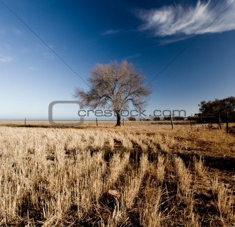 Rural Australia